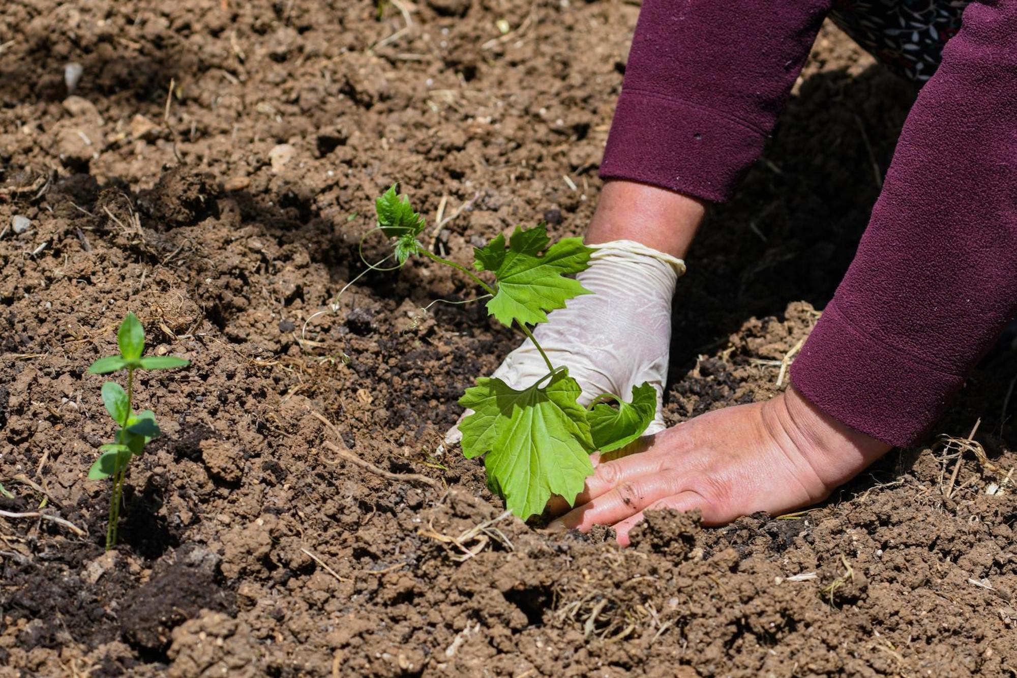 Narkoey Ecologic Hotel & Organic Farm Kocaeli Buitenkant foto