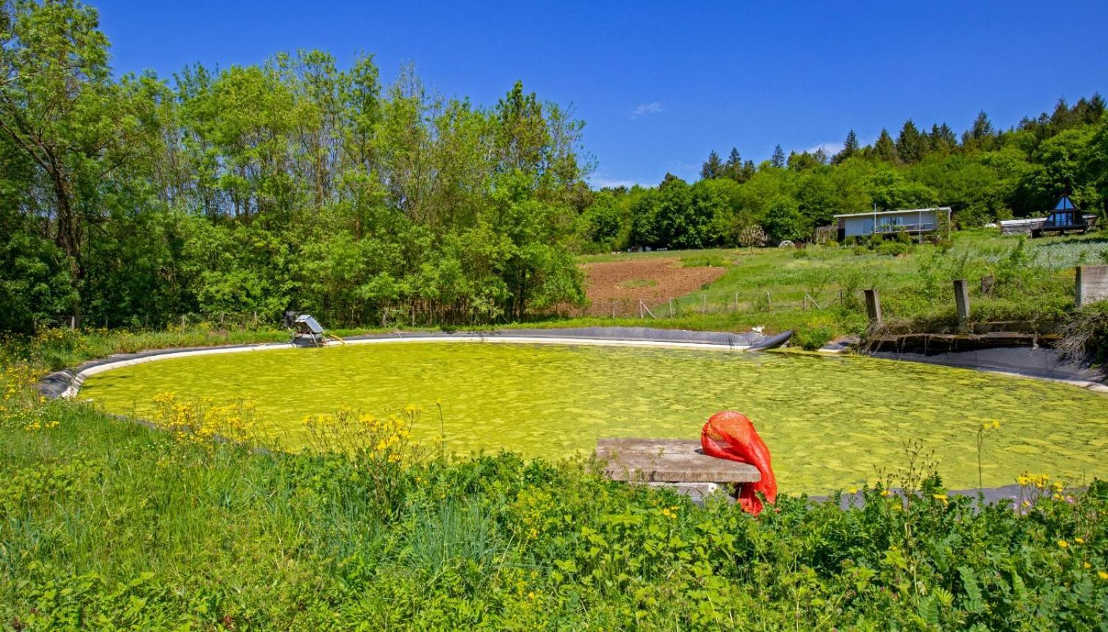 Narkoey Ecologic Hotel & Organic Farm Kocaeli Buitenkant foto